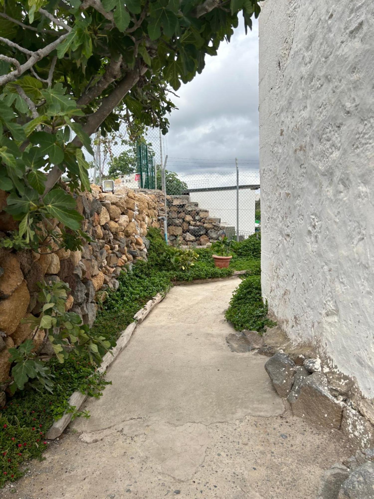 Casa Rural El Pasil 2 アロナ エクステリア 写真