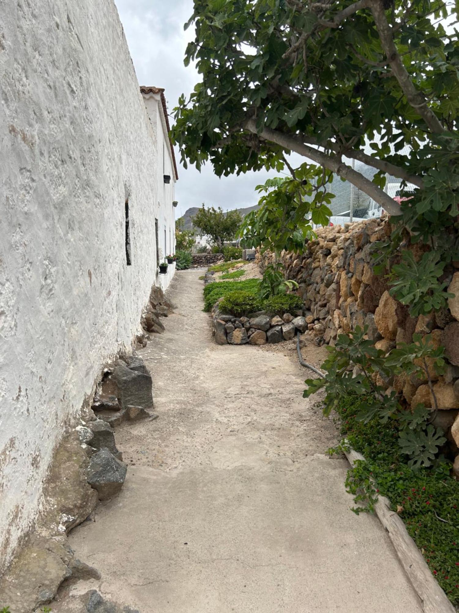 Casa Rural El Pasil 2 アロナ エクステリア 写真