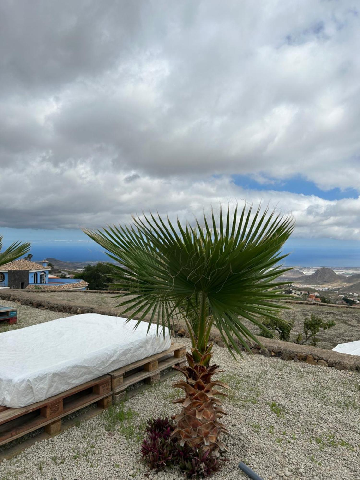 Casa Rural El Pasil 2 アロナ エクステリア 写真